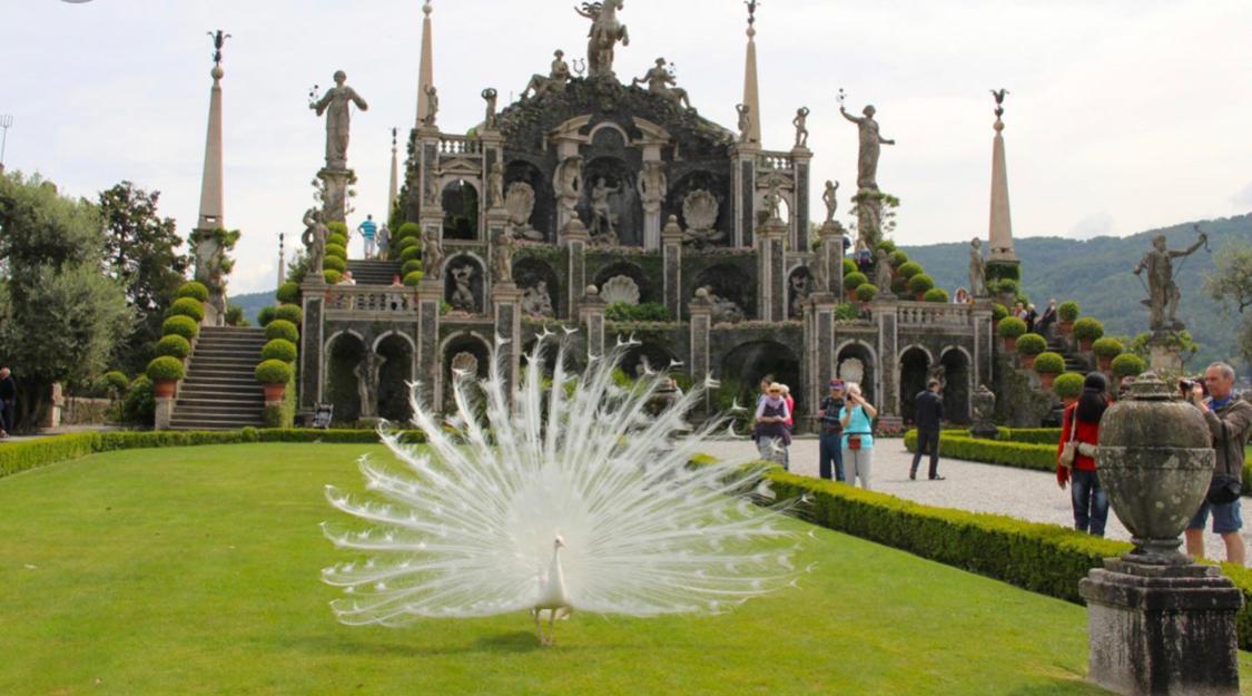 Antico Palazzo Lago Maggiore Verbania Exterior foto